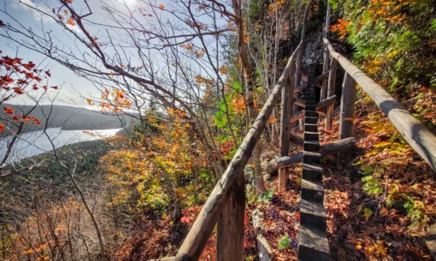 Top 29 Hikes and Trails in Acadia National Park