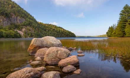 10 Best Things to Do in Acadia National Park