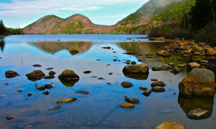 Acadia National Park Camping – A Visitor’s Guide