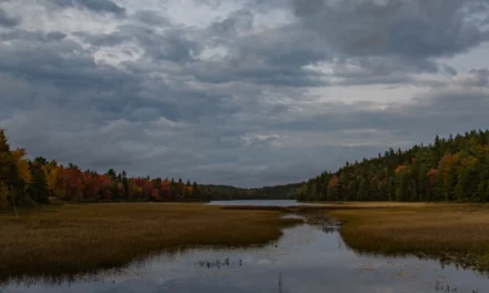 Best Season to Visit Acadia National Park – A Visitor’s Guide