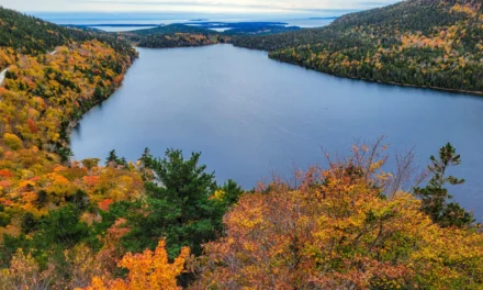Hotels in Acadia National Park – A Visitor’s Guide