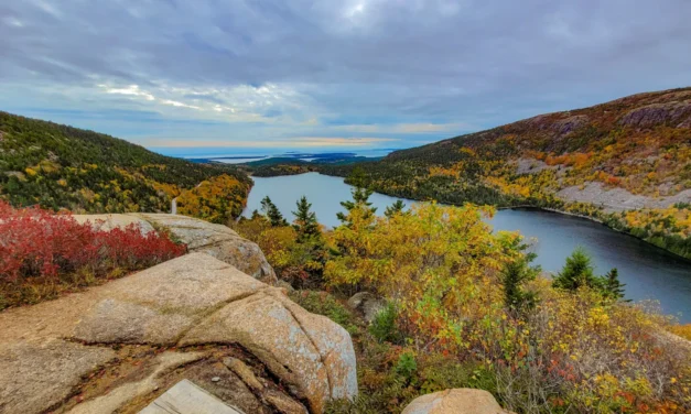 Restaurants in Acadia National Park – A Visitor’s Guide