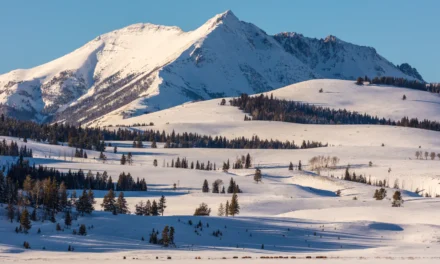Restaurants in Yellowstone National Park – A Visitor’s Guide