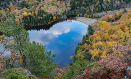 The Geology of Acadia National Park – A Visitor’s Guide
