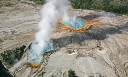 Top 15 Things to do in Yellowstone National Park
