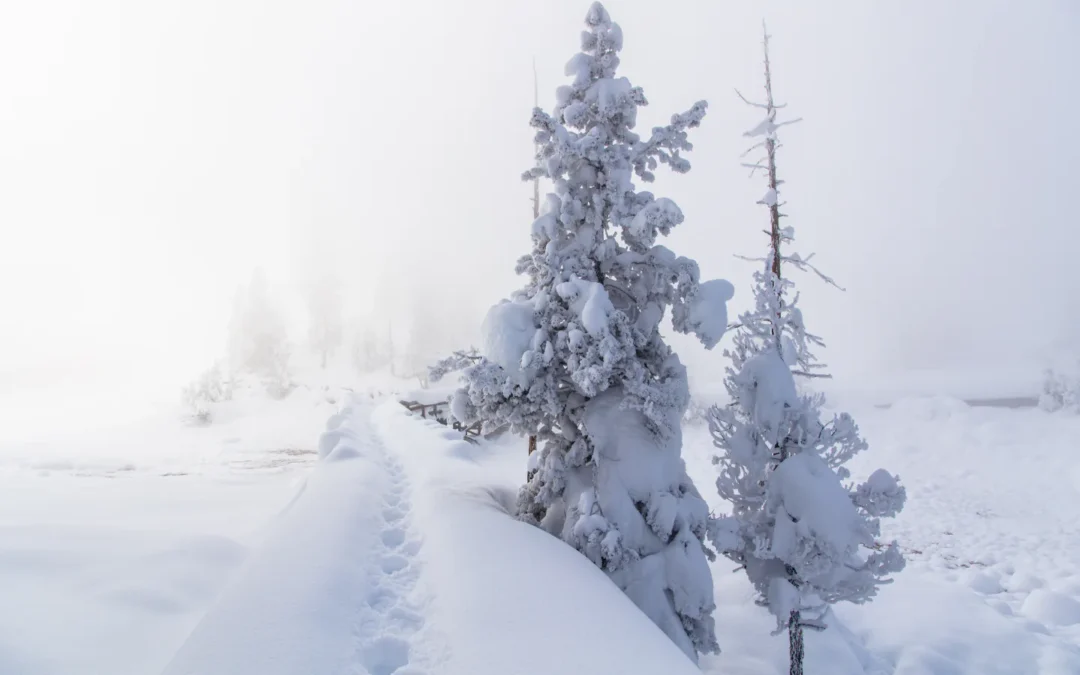 Top 19 Hikes in Yellowstone National Park