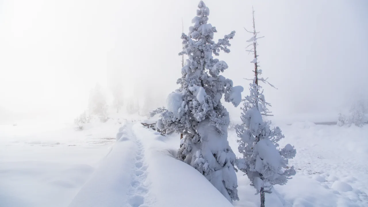 Snow-covered boardwalk at Mud Volcano in Yellowstone National Park