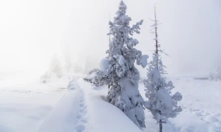 Top 19 Hikes in Yellowstone National Park
