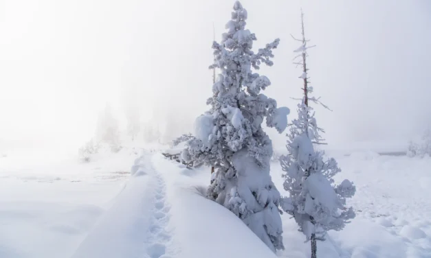 Top 19 Hikes in Yellowstone National Park