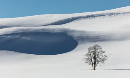 Weather in Yellowstone National Park – A Visitor’s Guide