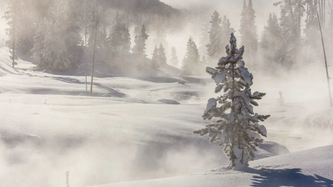 Steam rising from Obsidian Creek in Yellowstone National Park