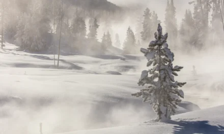 Yellowstone National Park Hotels – A Visitor’s Guide
