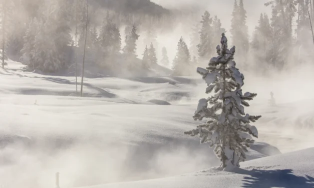 Yellowstone National Park Hotels – A Visitor’s Guide