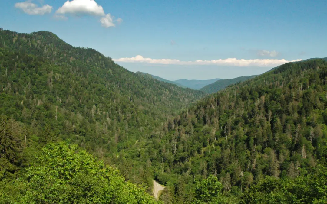 Top 25 Things to Do in Great Smoky Mountains National Park