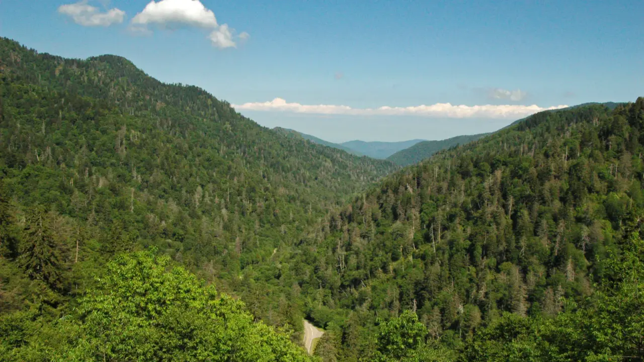 Layered Blue Ridge mountains in Great Smoky Mountains National Park