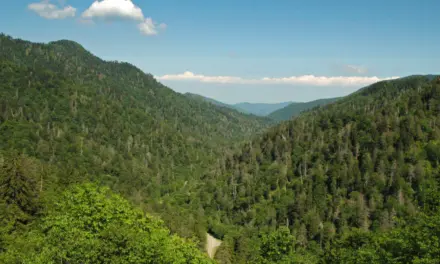 Top 25 Things to Do in Great Smoky Mountains National Park