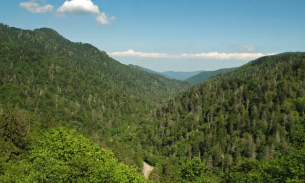 Top 25 Things to Do in Great Smoky Mountains National Park
