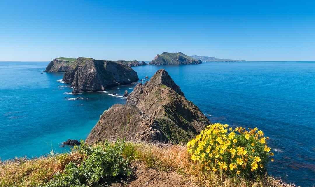 Channel Islands National Park – A Visitor’s Guide