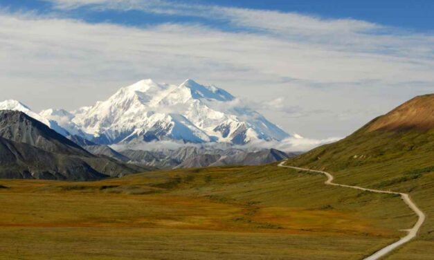 Denali National Park – A Visitor’s Guide