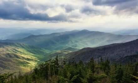 Great Smoky Mountains National Park – A Visitor’s Guide