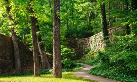 Hot Springs National Park – A Visitor’s Guide