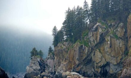 Kenai Fjords National Park – A Visitor’s Guide