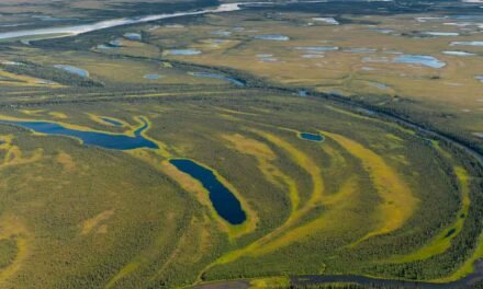 Kobuk Valley National Park – A Visitor’s Guide