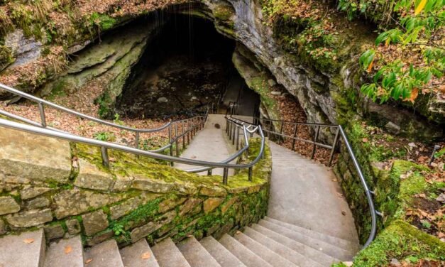 Mammoth Cave National Park – A Visitor’s Guide