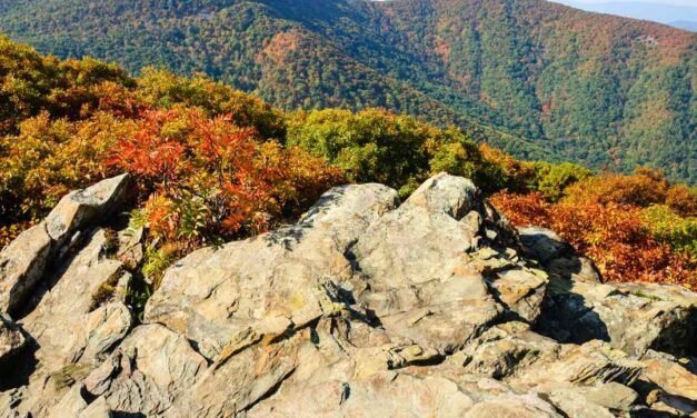 Shenandoah National Park – A Visitor’s Guide