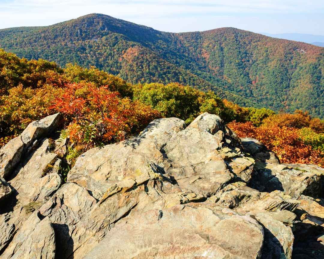 Shenandoah National Park - A Visitor's Guide - National Parks Guide