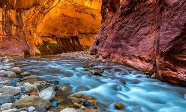 Top 20 Things to do in Zion National Park