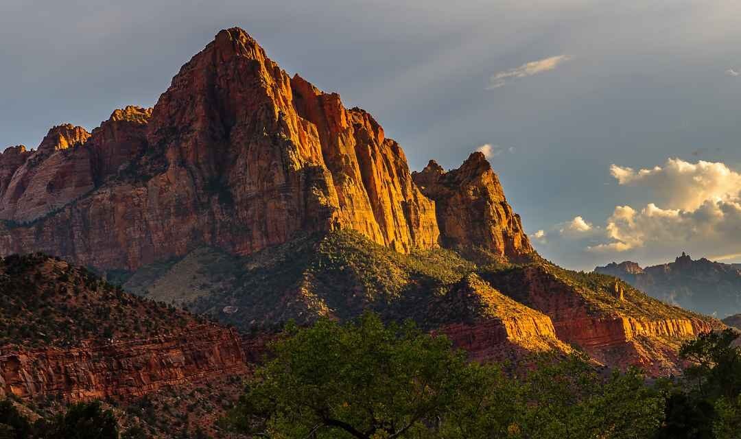 Wildlife in Zion National Park – A Visitor’s Guide