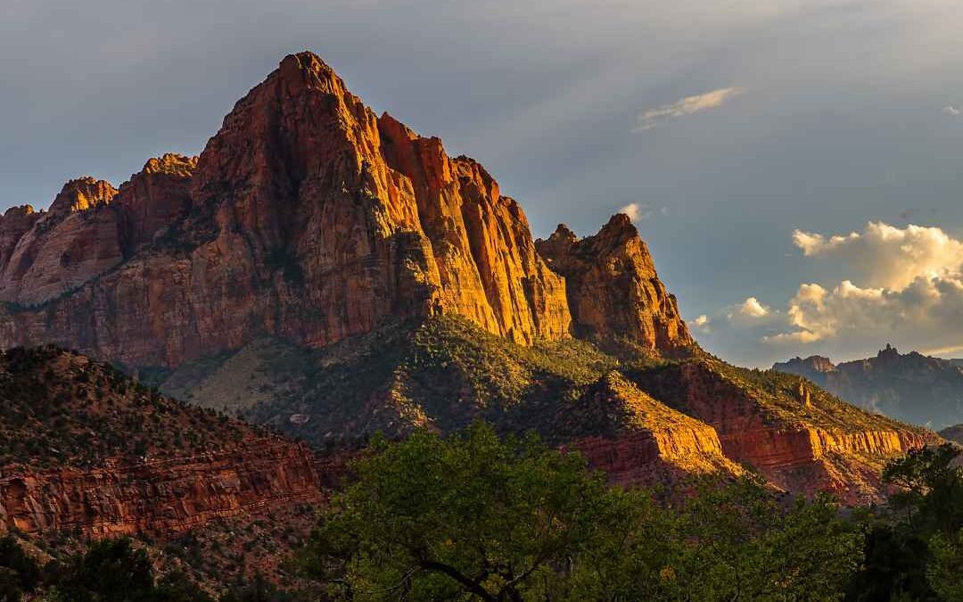 Wildlife in Zion National Park – A Visitor’s Guide