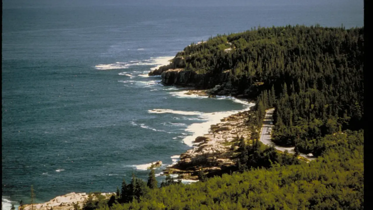 Acadia coastline and forested islands beneath a clear sky