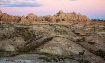 Badlands National Park – A Visitor’s Guide