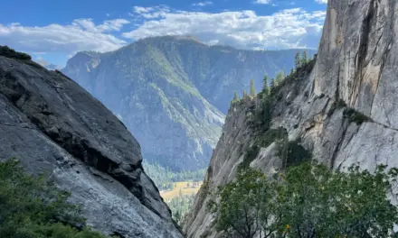 The Best Season to Visit Yosemite National Park