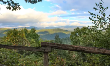 Best Time to Visit Great Smoky Mountains National Park