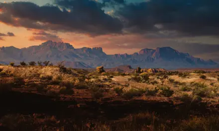 Big Bend National Park – A Visitor’s Guide