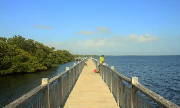 Biscayne National Park – A Visitor’s Guide