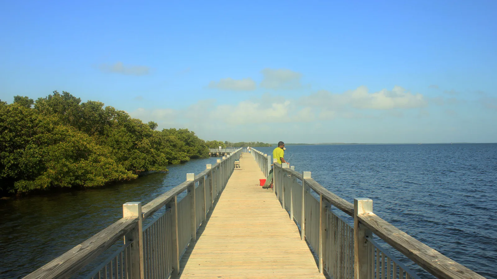 Boardwalk nature trail through Biscayne National Park
