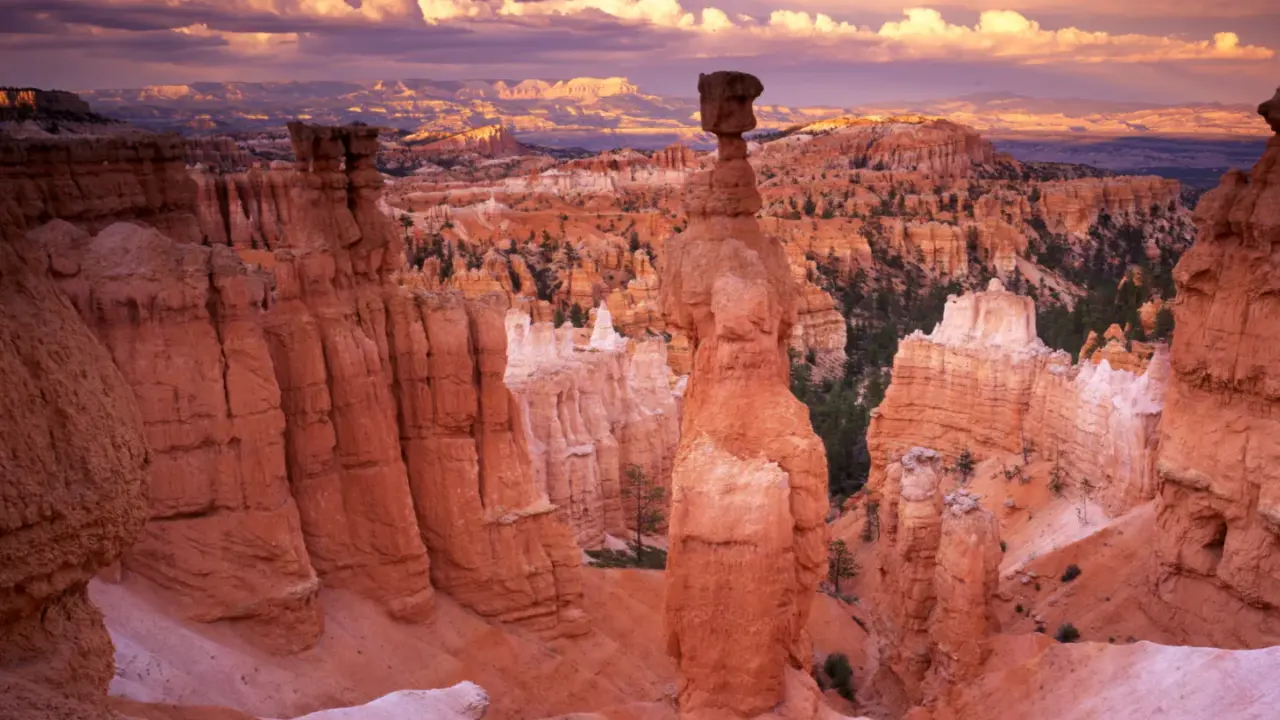 Thor's Hammer hoodoo above Bryce Canyon in late-afternoon light