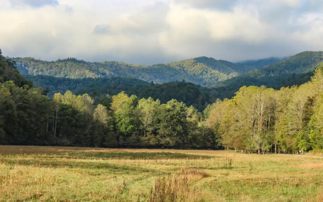 Campgrounds in Great Smoky Mountains National Park