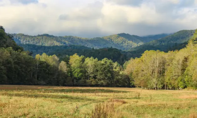 Campgrounds in Great Smoky Mountains National Park