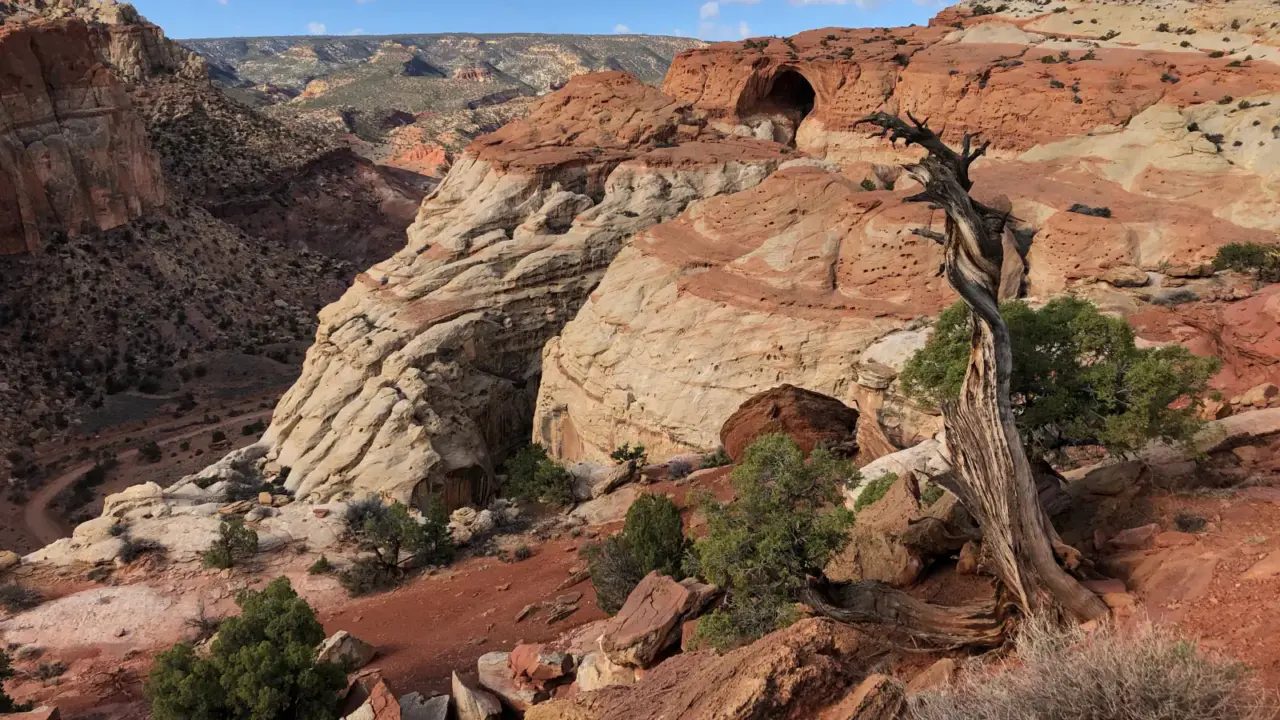 Cassidy Arch and striped sandstone cliffs in Capitol Reef National Park