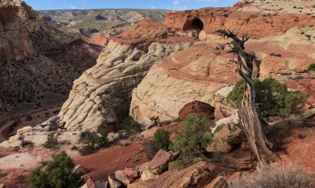 Capitol Reef National Park – A Visitor’s Guide