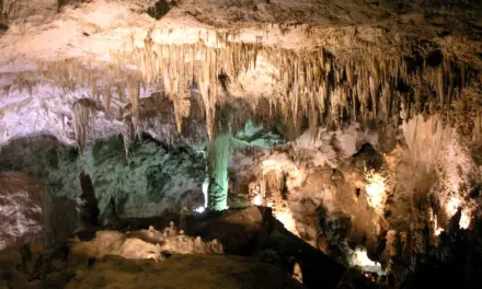 Carlsbad Caverns National Park – A Visitor’s Guide