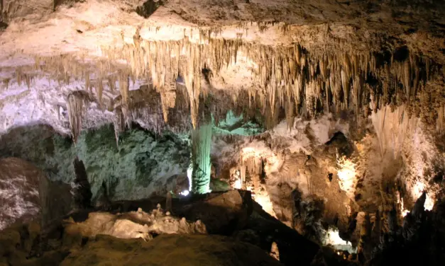 Carlsbad Caverns National Park – A Visitor’s Guide