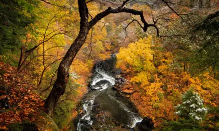 Cuyahoga Valley National Park – A Visitor’s Guide
