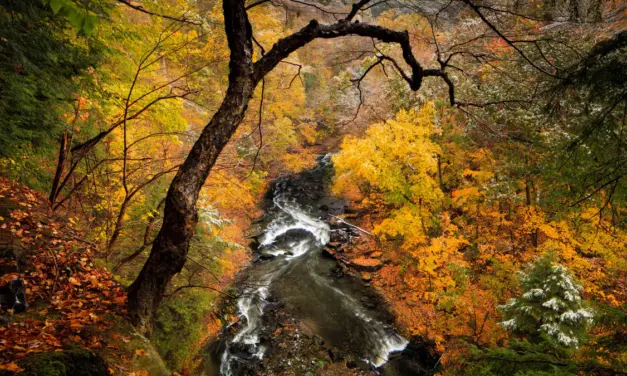 Cuyahoga Valley National Park – A Visitor’s Guide