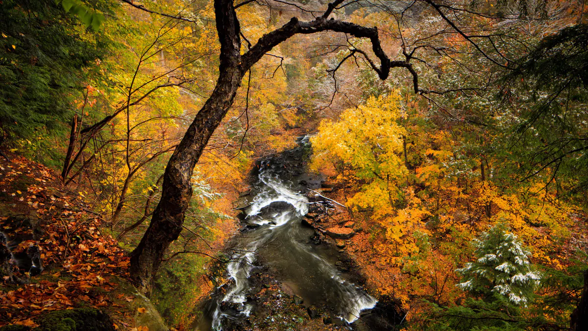 Tinkers Creek flowing through Cuyahoga Valley National Park
